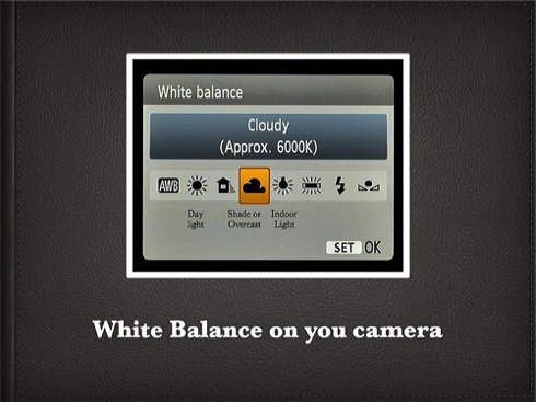 How to White Balance.005.jpg